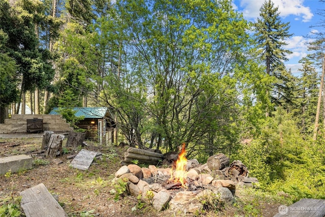 131 Horse Heaven Rd, Cle Elum, WA 98922 - view of yard with an outdoor fire pit