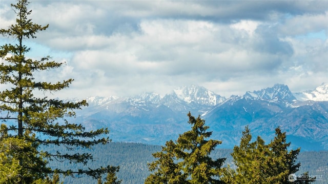 131 Horse Heaven Rd, Cle Elum, WA 98922 - view of mountain background