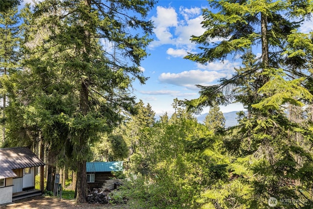 131 Horse Heaven Rd, Cle Elum, WA 98922 - view of yard