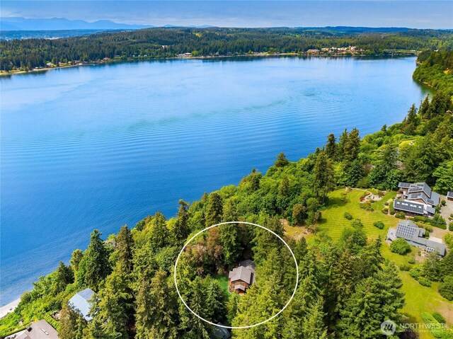 14427 Silven Ave NE, Bainbridge Island, WA 98110 - aerial view of a forest and a nearby body of water