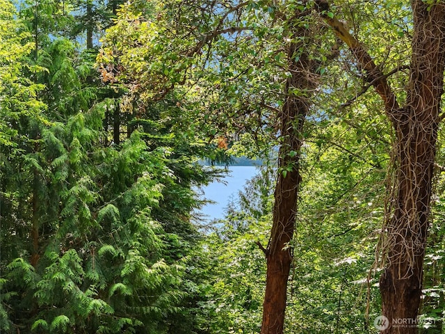 14427 Silven Ave NE, Bainbridge Island, WA 98110 - water view with a forest