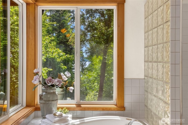 14427 Silven Ave NE, Bainbridge Island, WA 98110 - bathroom featuring healthy amount of natural light and a bathtub