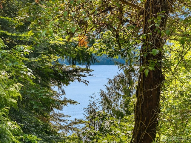 14427 Silven Ave NE, Bainbridge Island, WA 98110 - water view