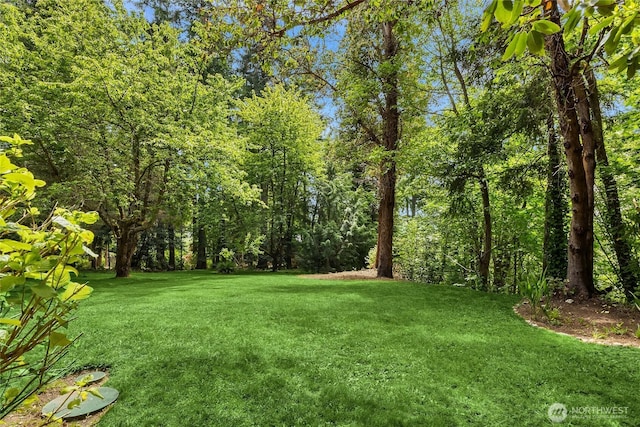 14427 Silven Ave NE, Bainbridge Island, WA 98110 - view of green lawn