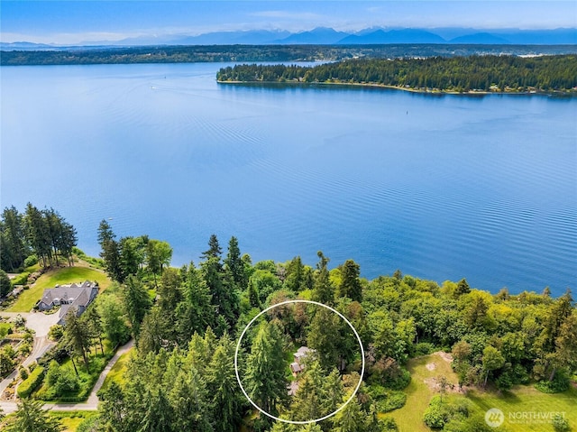 14427 Silven Ave NE, Bainbridge Island, WA 98110 - aerial view of a water and mountain view and a heavily wooded area