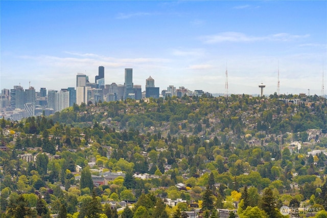 1206C NW 83rd St, Seattle, WA 98117 - view of city