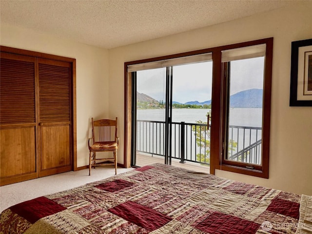 56 Westlake Rd, Oroville, WA 98844 - bedroom featuring access to outside, multiple windows, light colored carpet, a water view, and a textured ceiling