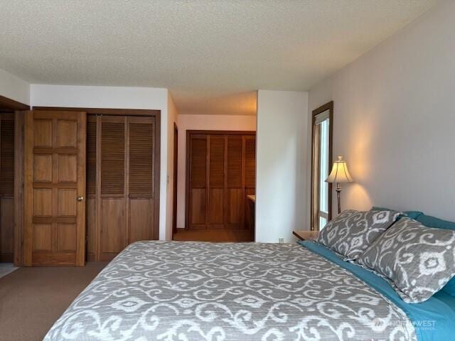 56 Westlake Rd, Oroville, WA 98844 - bedroom with a closet, carpet flooring, and a textured ceiling