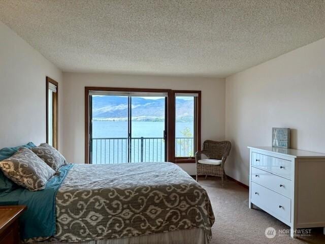 56 Westlake Rd, Oroville, WA 98844 - bedroom featuring access to exterior, carpet floors, and a textured ceiling