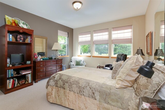 1770 SW Aberdeen Ct, Oak Harbor, WA 98277 - bedroom with carpet floors