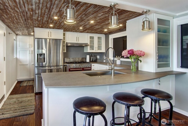 2401 N Northlake Way Unit B13, Seattle, WA 98103 - kitchen featuring stainless steel appliances, a sink, under cabinet range hood, baseboards, and dark wood-style flooring
