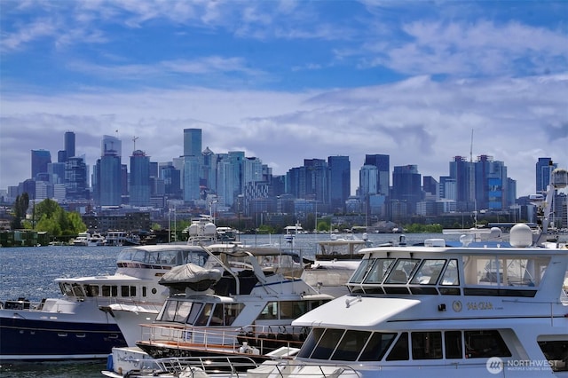 2401 N Northlake Way Unit B13, Seattle, WA 98103 - view of city skyline with a large body of water