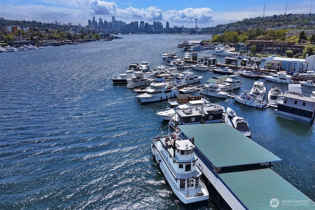 2401 N Northlake Way Unit B13, Seattle, WA 98103 - dock area featuring a water view and a skyline view