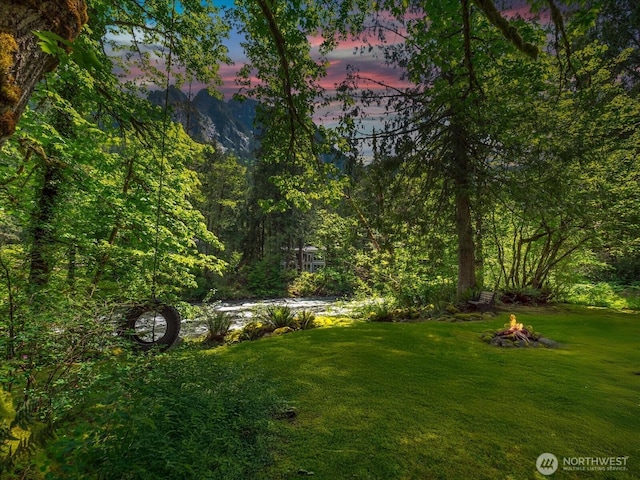 44611 SE 72nd St, Snoqualmie, WA 98065 - yard at dusk with a yard and an outdoor fire pit
