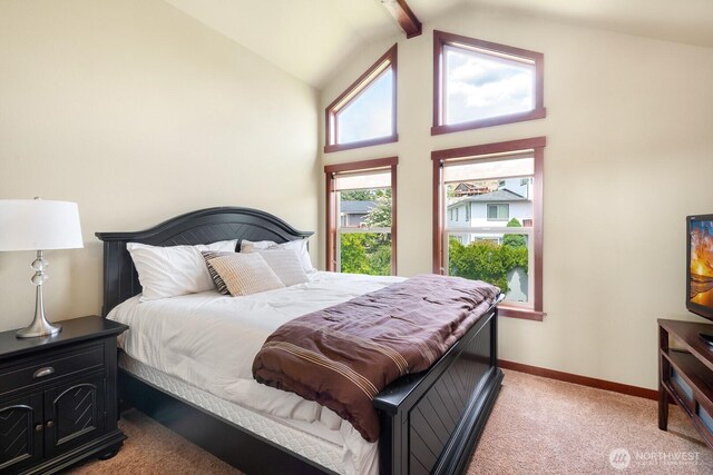 205 Butte Rd, Chelan, WA 98816 - bedroom featuring light colored carpet, baseboards, and high vaulted ceiling