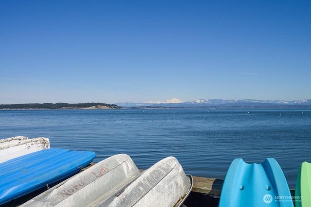 1215 S E Camano Dr, Camano Island, WA 98282