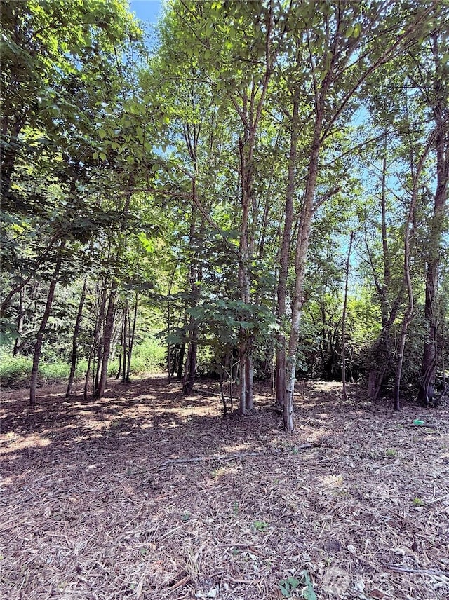 1215 S E Camano Dr, Camano Island, WA 98282