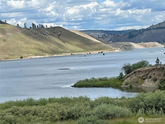 36101 Mill Canyon Rd N, Davenport, WA 99122