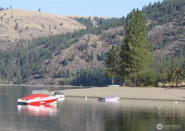 36101 Mill Canyon Rd N, Davenport, WA 99122