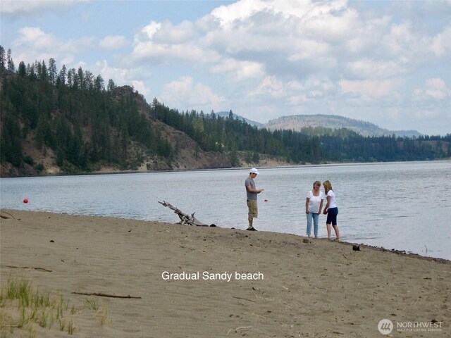 36101 Mill Canyon Rd N, Davenport, WA 99122