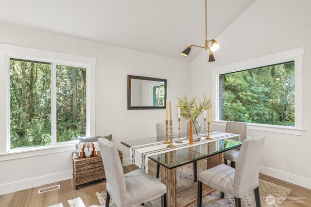 27302 NE 153rd Pl, Duvall, WA 98019 - dining space with plenty of natural light, baseboards, wood finished floors, and lofted ceiling