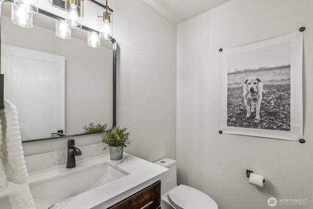 27302 NE 153rd Pl, Duvall, WA 98019 - bathroom with vanity and toilet