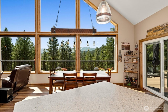 55 Wrangler Ln, Leavenworth, WA 98826 - dining space featuring vaulted ceiling, wood finished floors, and baseboards