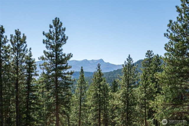 55 Wrangler Ln, Leavenworth, WA 98826 - view of mountain background featuring a forest