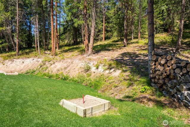 55 Wrangler Ln, Leavenworth, WA 98826 - view of grassy yard