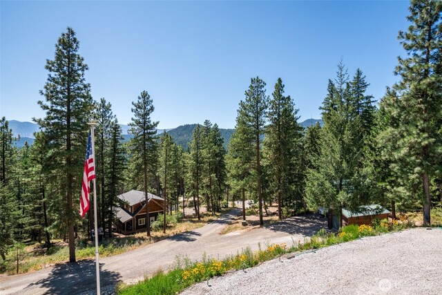 55 Wrangler Ln, Leavenworth, WA 98826 - view of dirt / gravel road featuring a mountain view and a wooded view
