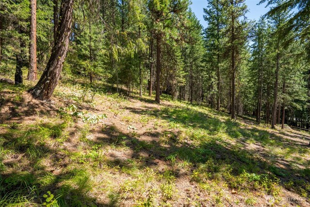 55 Wrangler Ln, Leavenworth, WA 98826 - view of wooded area