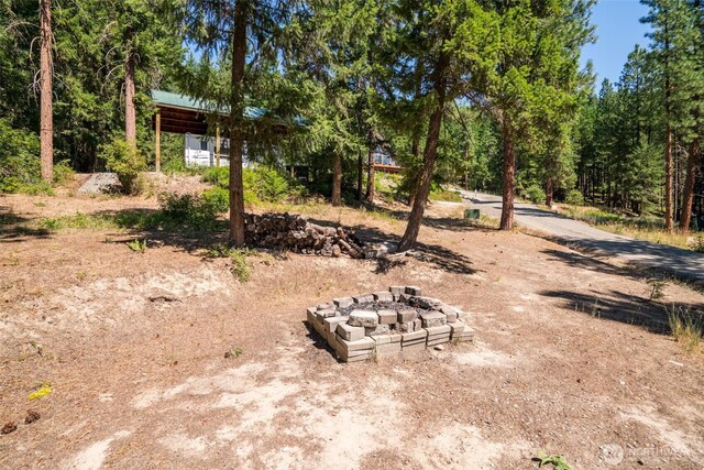 55 Wrangler Ln, Leavenworth, WA 98826 - view of yard