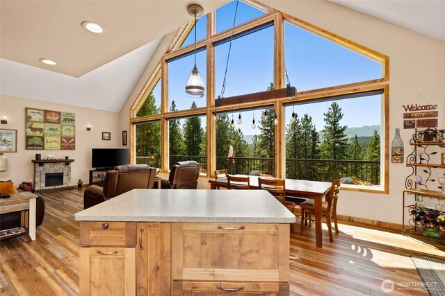 55 Wrangler Ln, Leavenworth, WA 98826 - kitchen featuring light wood-type flooring, baseboards, high vaulted ceiling, light countertops, and a fireplace