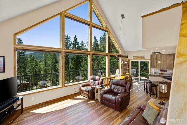 55 Wrangler Ln, Leavenworth, WA 98826 - living area featuring high vaulted ceiling, healthy amount of natural light, wood finished floors, and baseboards