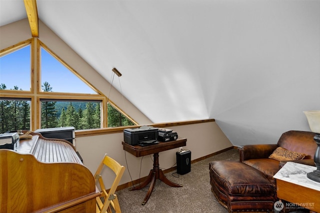 55 Wrangler Ln, Leavenworth, WA 98826 - sitting room featuring carpet and baseboards