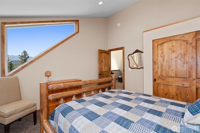 55 Wrangler Ln, Leavenworth, WA 98826 - bedroom with carpet and recessed lighting