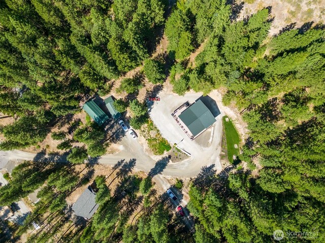 55 Wrangler Ln, Leavenworth, WA 98826 - drone / aerial view