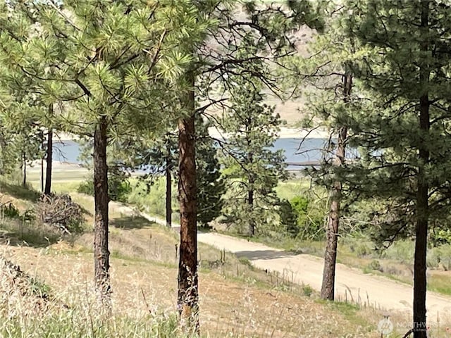 36025 Mill Canyon Rd N, Davenport, WA 99122 - photo 1