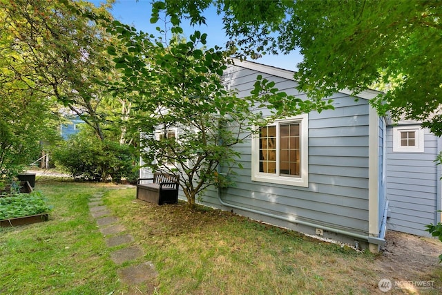 1703 NE 91st St, Seattle, WA 98115 - view of green lawn