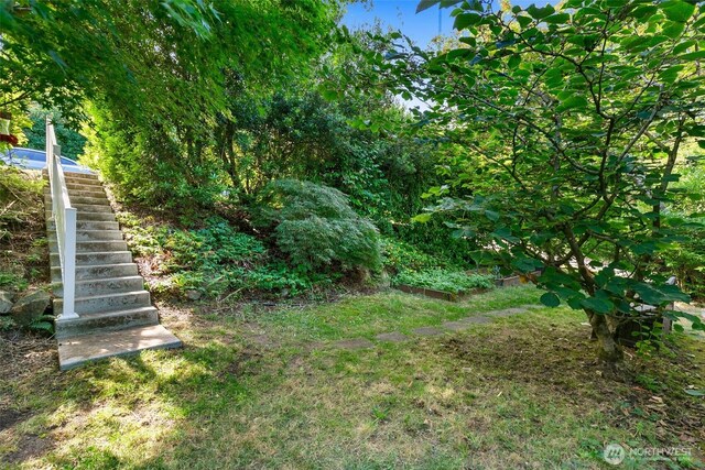 1703 NE 91st St, Seattle, WA 98115 - view of yard featuring stairway