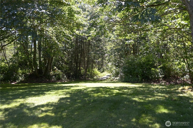 1048 Cassius Ct, Camano Island, WA 98282 - view of green lawn featuring a wooded view