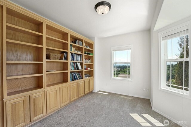 1048 Cassius Ct, Camano Island, WA 98282 - carpeted spare room with plenty of natural light and baseboards