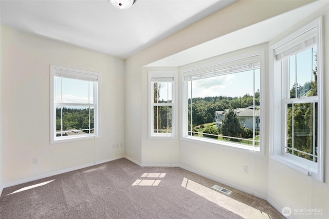 1048 Cassius Ct, Camano Island, WA 98282 - carpeted empty room with baseboards
