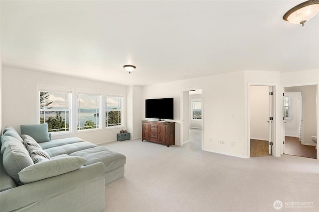 1048 Cassius Ct, Camano Island, WA 98282 - living area with plenty of natural light and light colored carpet