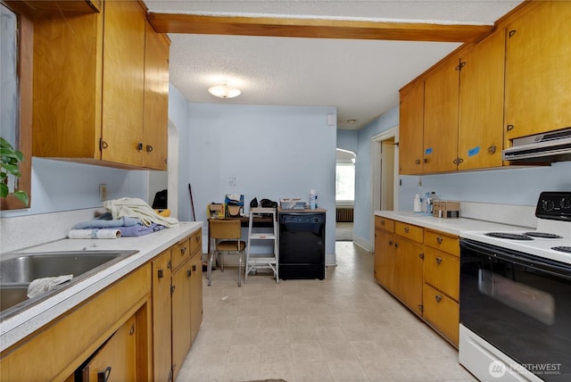 20925 SE Renton-Maple Valley Rd, Maple Valley, WA 98038 - kitchen with range with electric stovetop, under cabinet range hood, light countertops, and brown cabinets