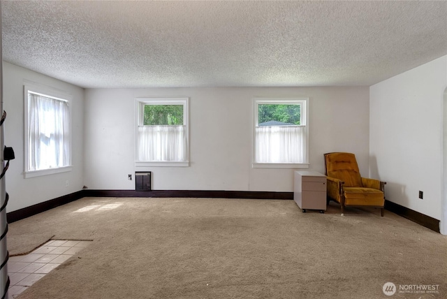 20925 SE Renton-Maple Valley Rd, Maple Valley, WA 98038 - sitting room with carpet, healthy amount of natural light, a textured ceiling, and baseboards