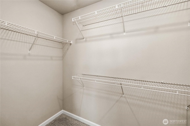 25701 204th Pl SE, Covington, WA 98042 - walk in closet with carpet floors
