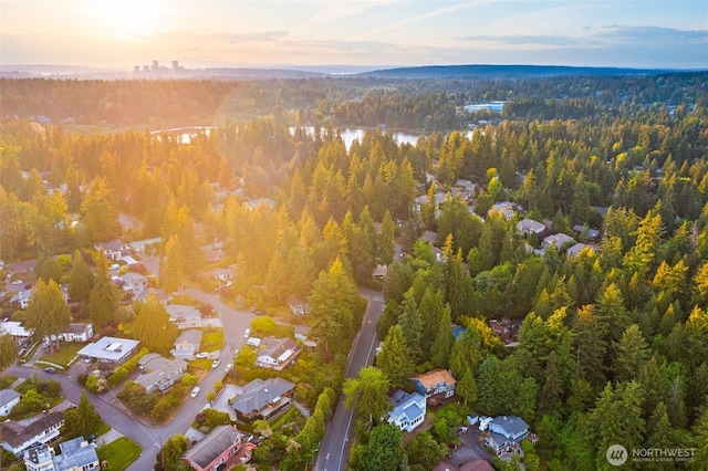 16822 SE 26th St, Bellevue, WA 98008 - aerial view at dusk of a view of trees