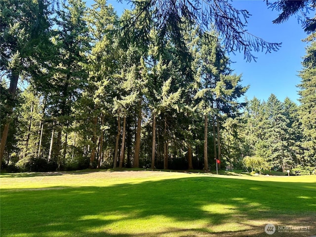 11307 Country Club Dr, Anderson Island, WA 98303 - photo 1
