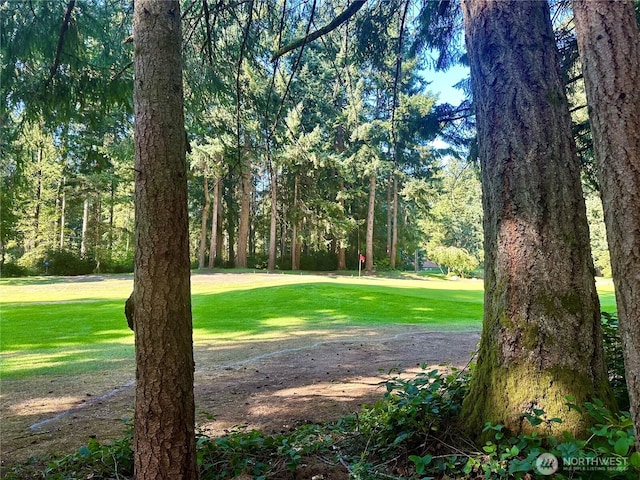 11307 Country Club Dr, Anderson Island, WA 98303 - photo 2
